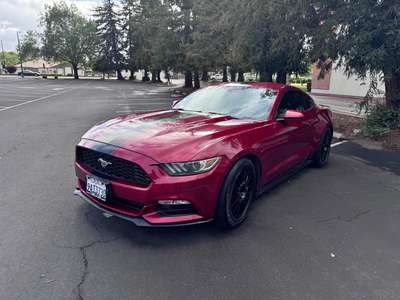 2016 Ford Mustang - Coupe 2D