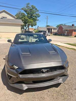 2019 Ford Mustang - EcoBoost Convertible 2D
