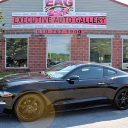 2020 Ford Mustang - EcoBoost Coupe 2D