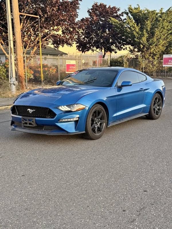 2019 Ford Mustang