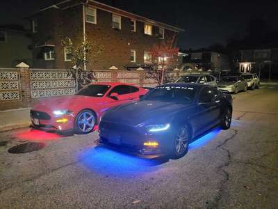 2015 Ford Mustang - EcoBoost Premium Coupe 2D