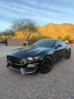 2020 Ford Mustang SHELBY GT350