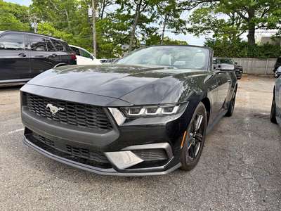 2024 Ford Mustang - EcoBoost Premium Convertible 2D