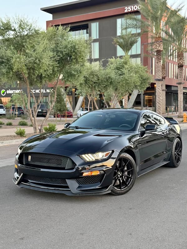 2020 Ford Mustang - Shelby GT350 Coupe 2D