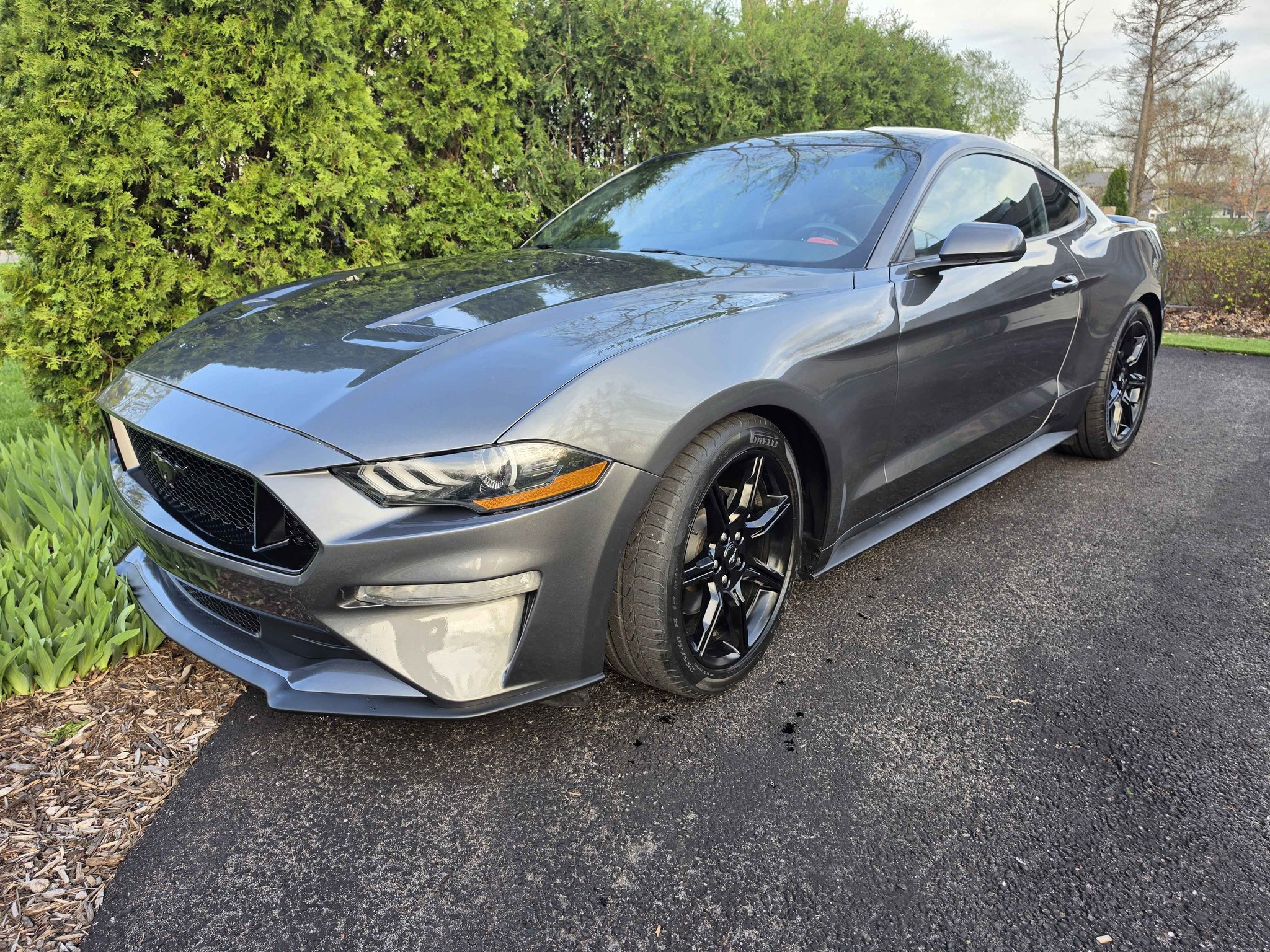 2020 Ford Mustang - EcoBoost Coupe 2D