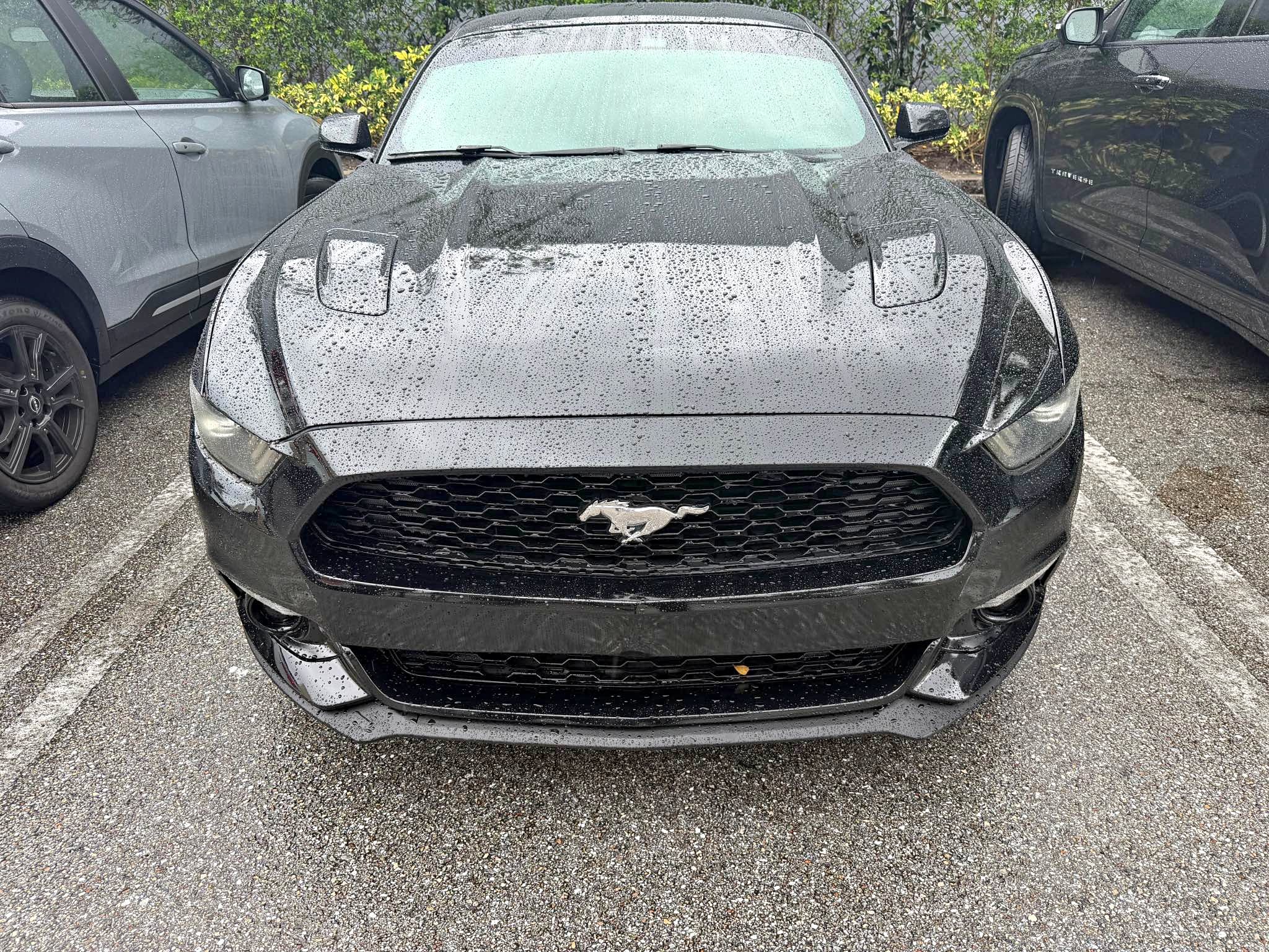 2015 Ford Mustang - EcoBoost Coupe 2D