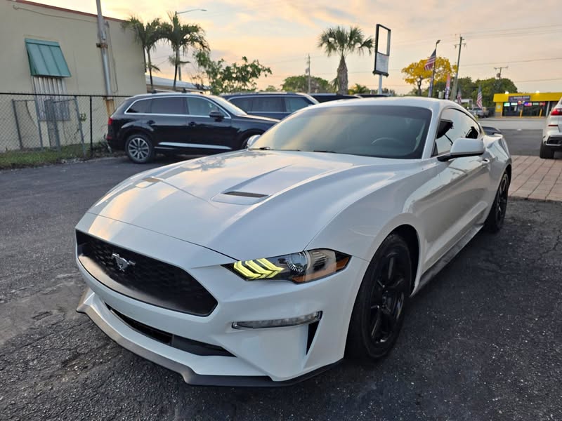 2019 Ford MUSTANG
