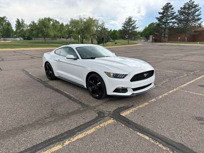 2016 Ford Mustang - EcoBoost Coupe 2D