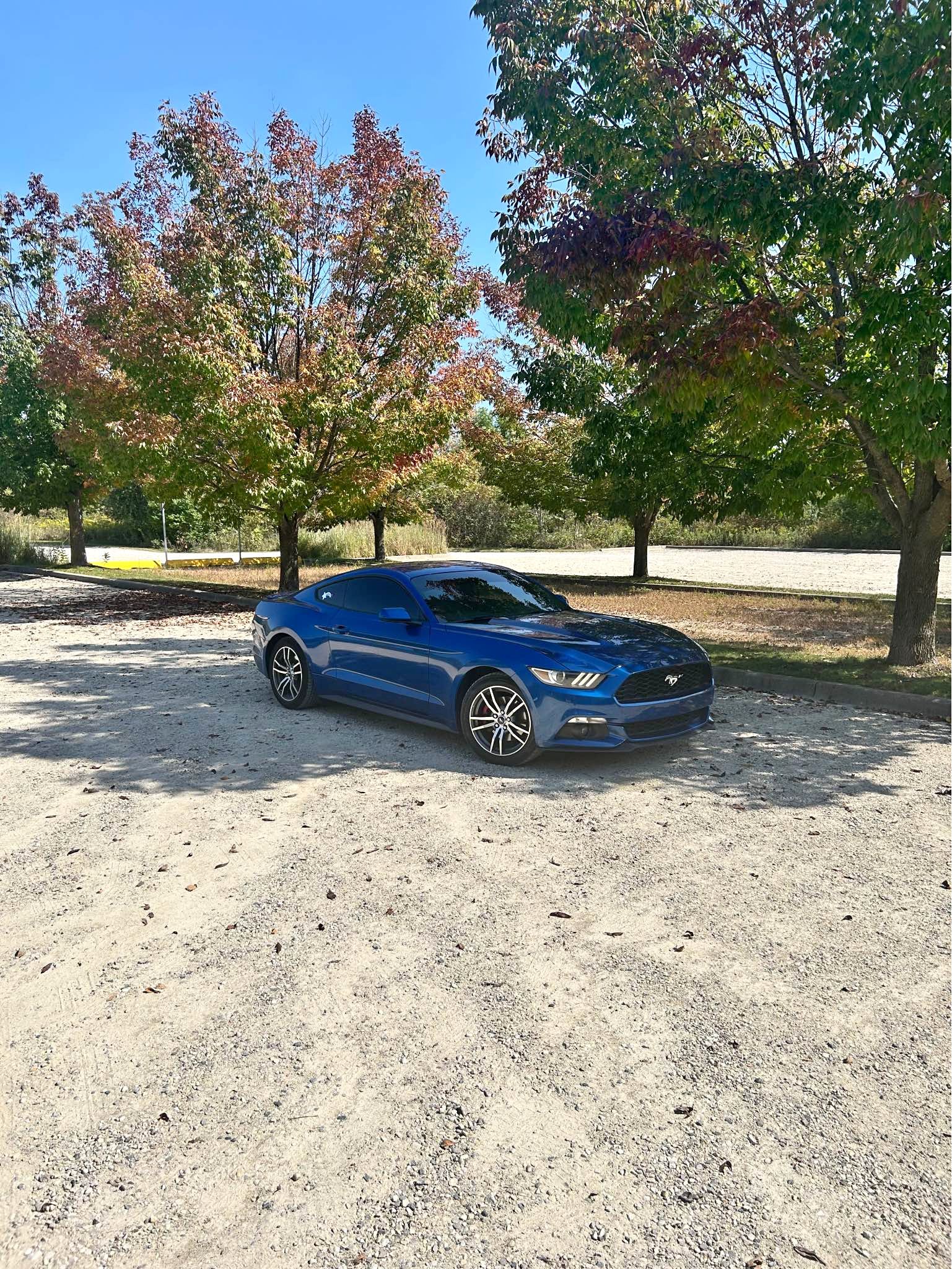 2017 Ford Mustang - EcoBoost Coupe 2D