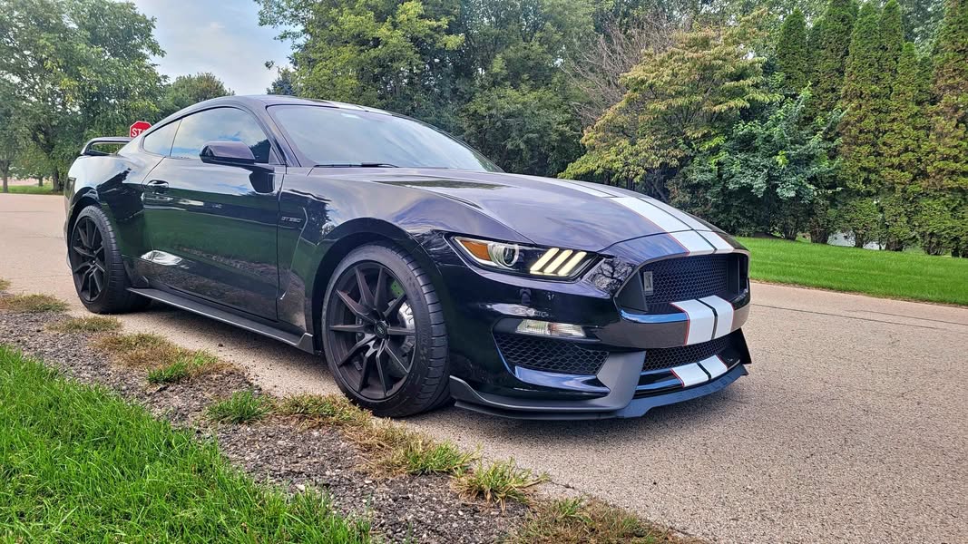 2018 Ford Mustang - Shelby GT350 Coupe 2D