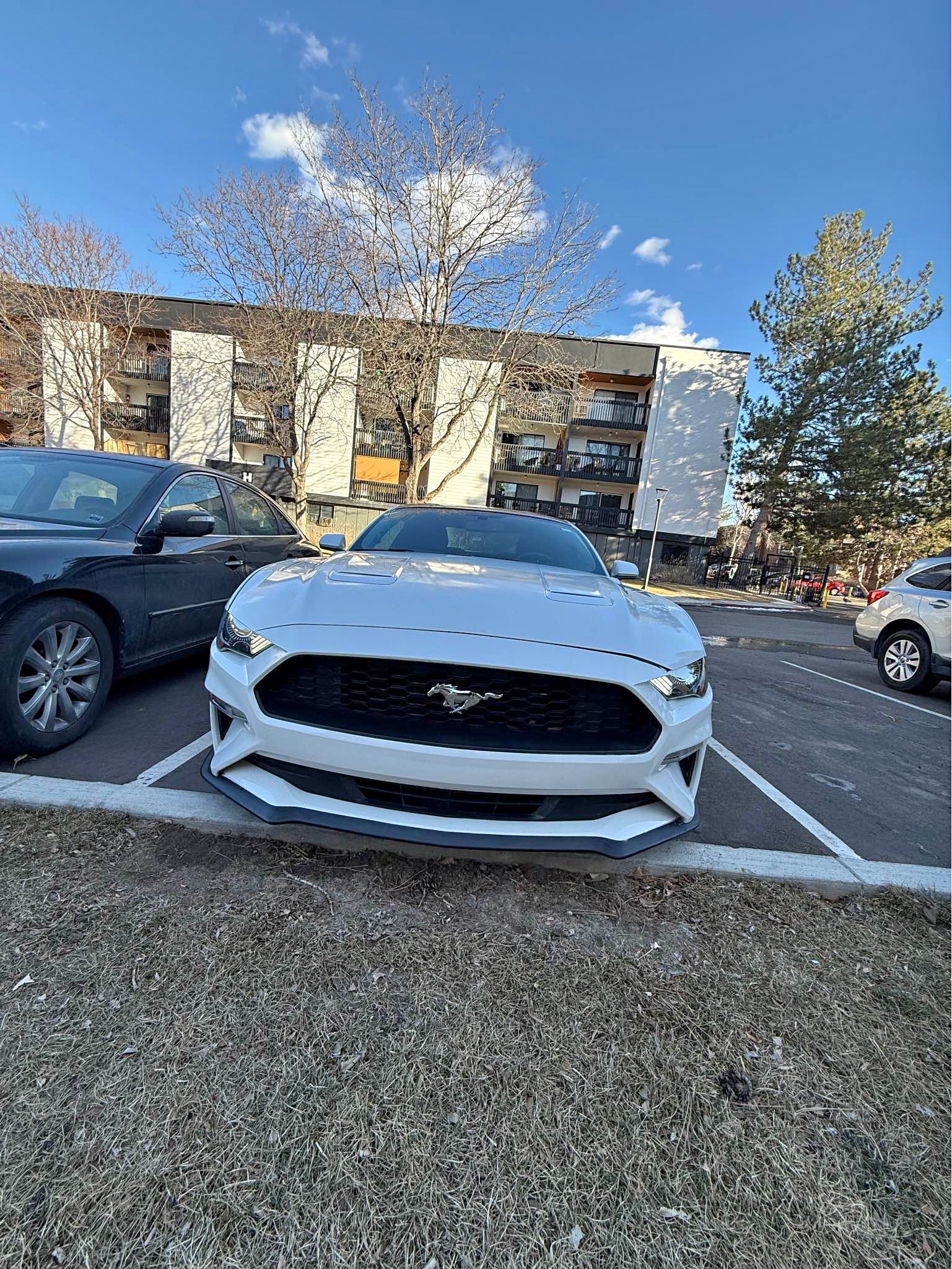 2019 Ford Mustang - EcoBoost Coupe 2D