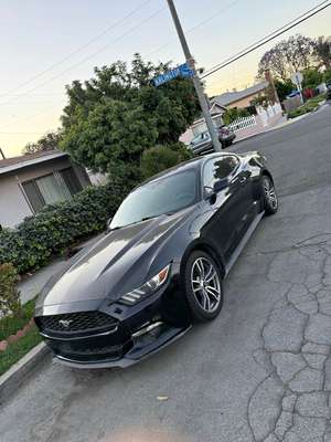 2015 Ford Mustang - EcoBoost Coupe 2D