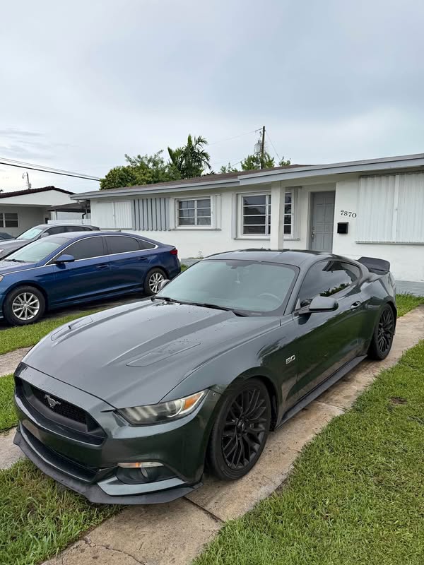 2015 Ford Mustang - Gt 5.0