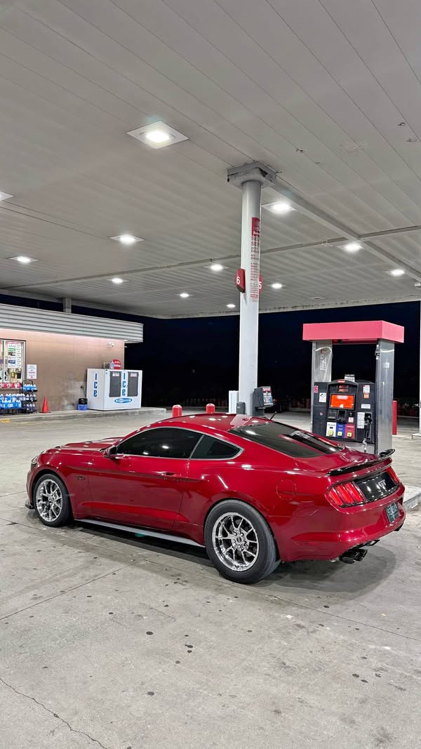 2015 Ford Mustang - Gt premium