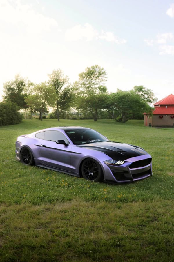 2019 Ford Mustang - Ecoboost