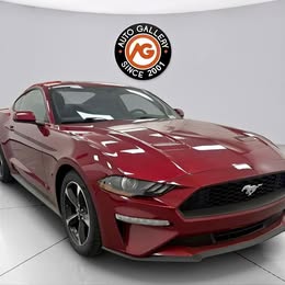 2019 Ford Mustang