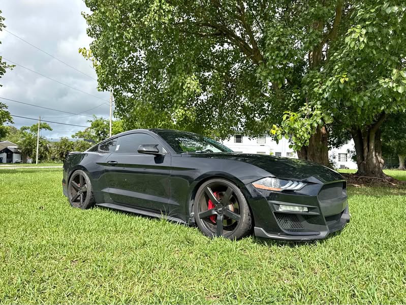 2019 Ford Mustang - GT Deluxe Coupe 2D
