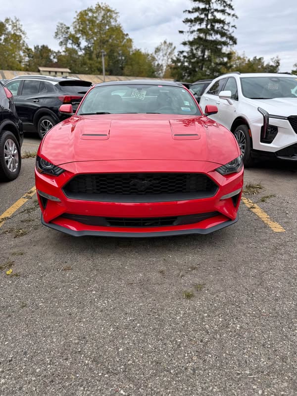 2019 Ford Mustang - EcoBoost