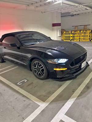 2020 Ford Mustang - EcoBoost Convertible 2D