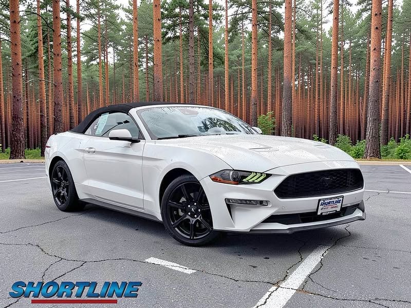 2019 Ford Mustang EcoBoost Premium \ud83e\udd18