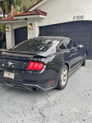 2019 Ford Mustang - Ecoboost