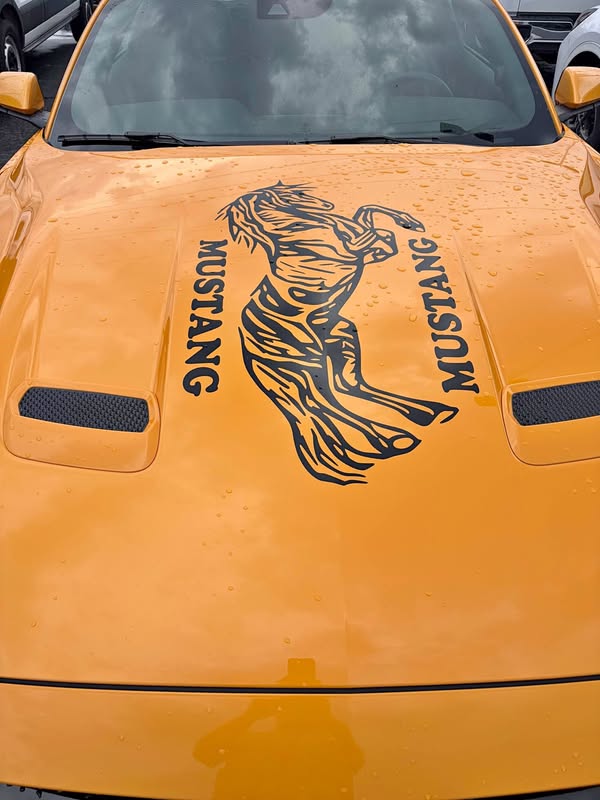 2022 Ford Mustang - GT Coupe 2D
