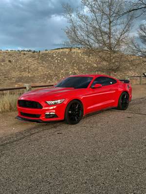 2017 Ford Mustang - Ecoboost mustang