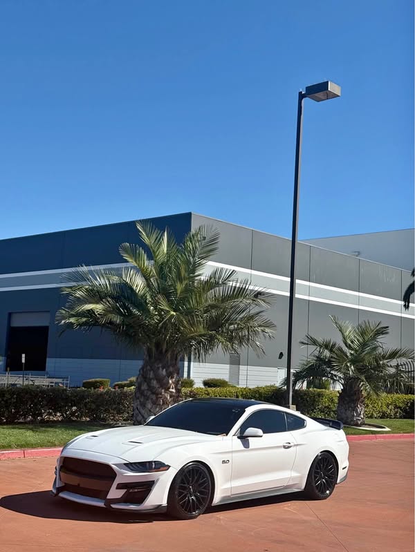 2019 Ford Mustang - GT Premium Convertible 2D