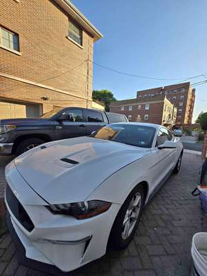 2019 Ford Mustang - Ecoboost