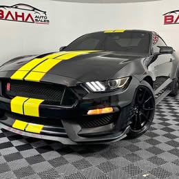 2019 Ford Mustang Shelby GT350