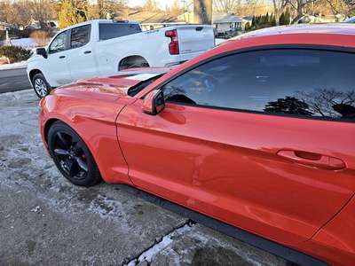 2016 Ford Mustang - EcoBoost Coupe 2D