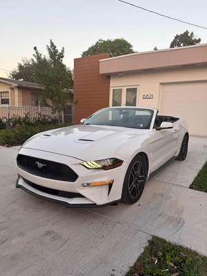 2019 Ford Mustang - Convertible 2D