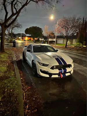 2016 Ford Mustang - Shelby GT350 Coupe 2D