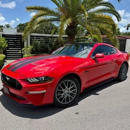 2019 Ford Mustang