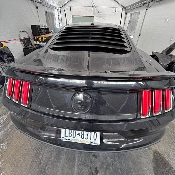 2015 Ford Mustang - Premium gt 50anniversary