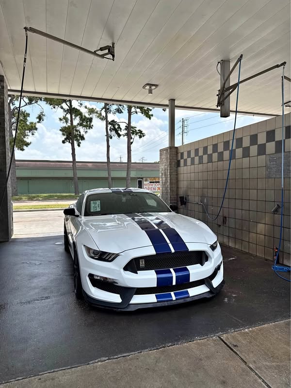 2016 Ford Mustang - GT350