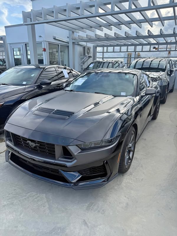 2024 Ford Mustang - Dark Horse Coupe 2D