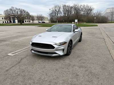 2019 Ford Mustang - 2.3 cohost