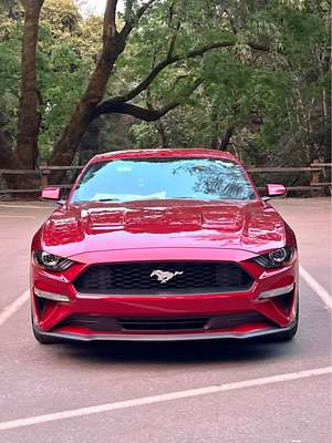 2019 Ford Mustang - Ecoboost