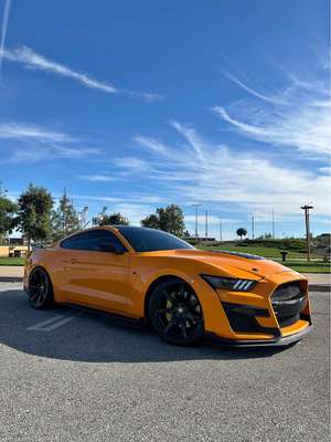 2019 Ford Mustang - Premium