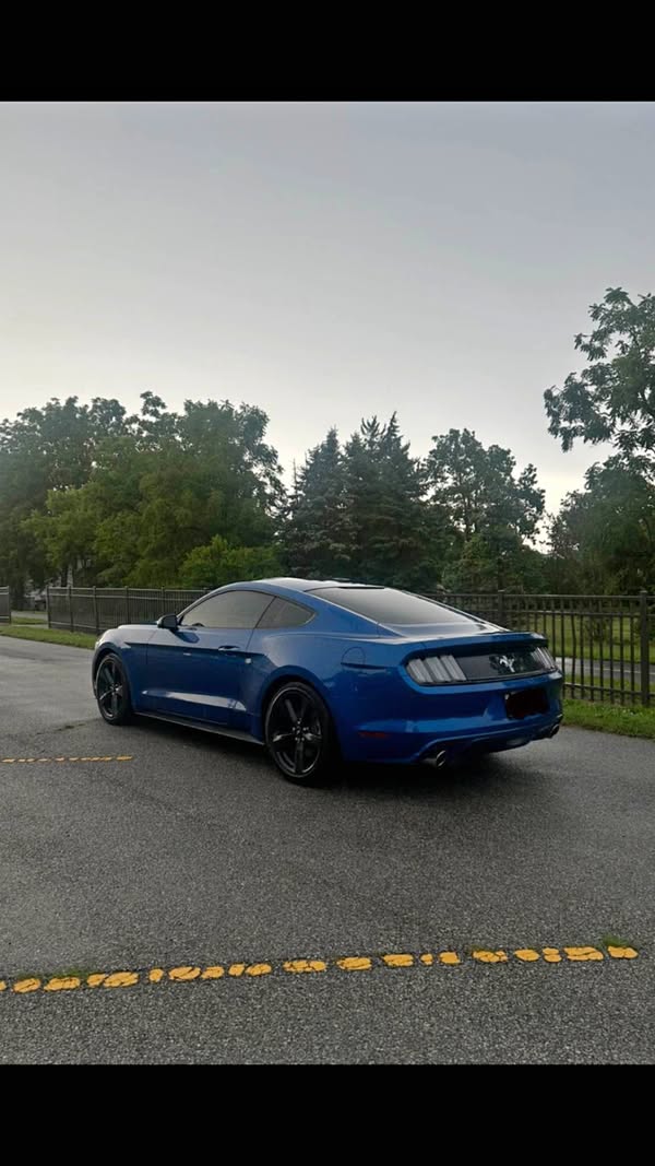 2017 Ford Mustang - V6 Coupe 2D