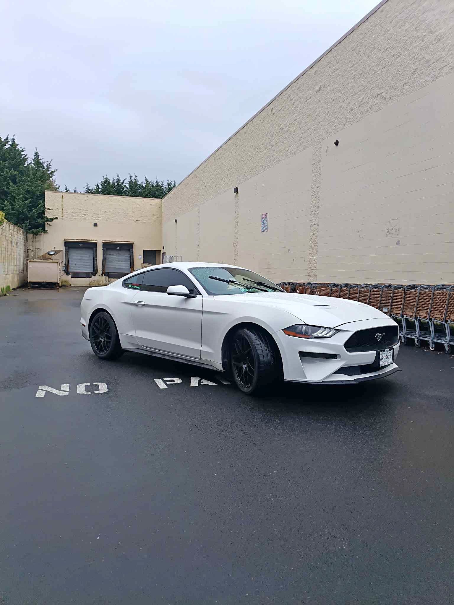 2020 Ford Mustang - EcoBoost Coupe 2D