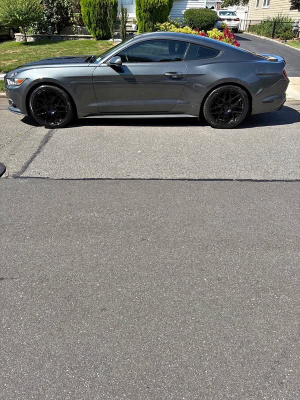 2016 Ford Mustang - EcoBoost Coupe 2D