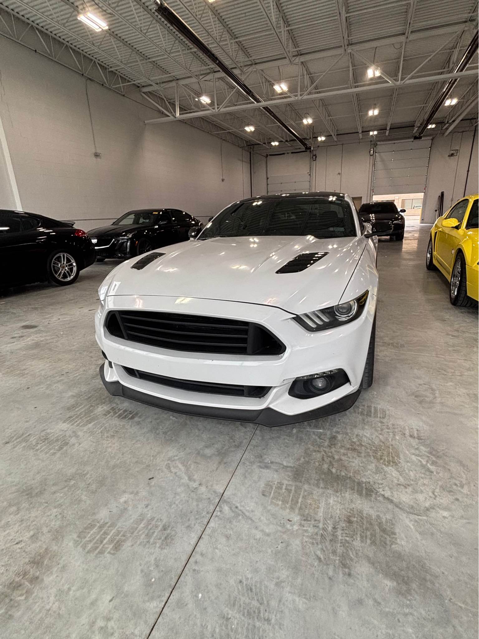 2017 Ford Mustang - GT Premium Coupe 2D