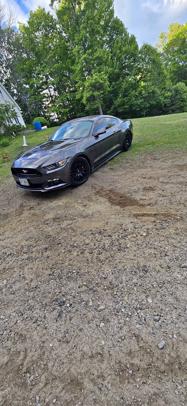 2015 Ford Mustang - EcoBoost Premium Coupe 2D