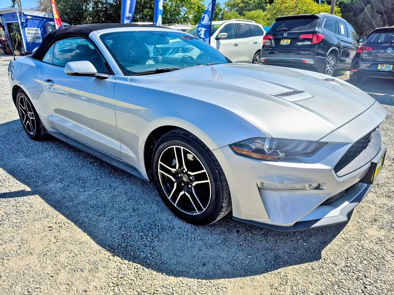 2019 Ford mustang