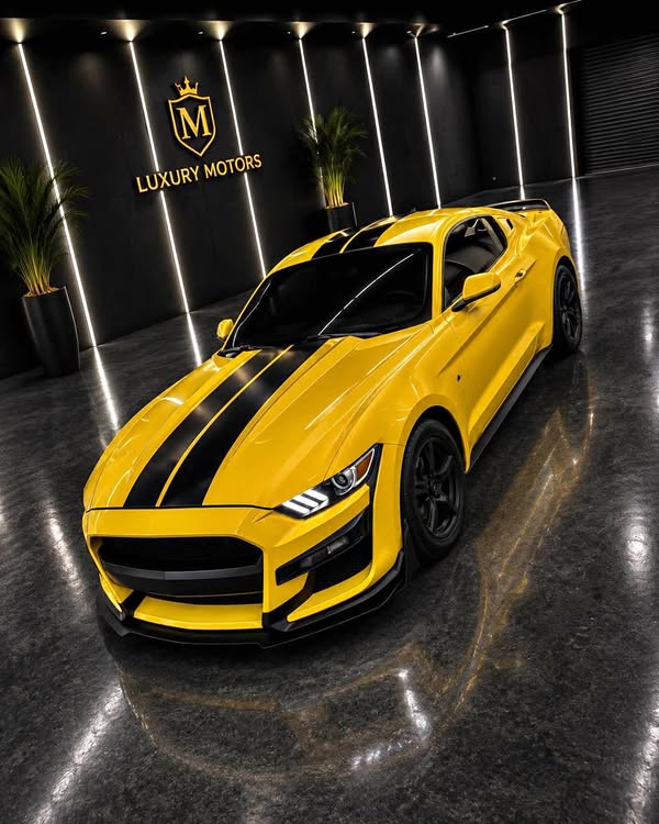 2016 Ford Mustang - Coupe 2D