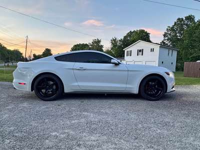 2016 Ford Mustang - EcoBoost Coupe 2D