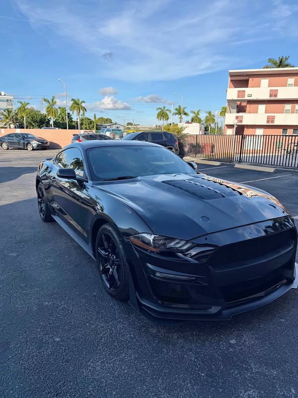 2020 Ford Mustang - EcoBoost Coupe 2D