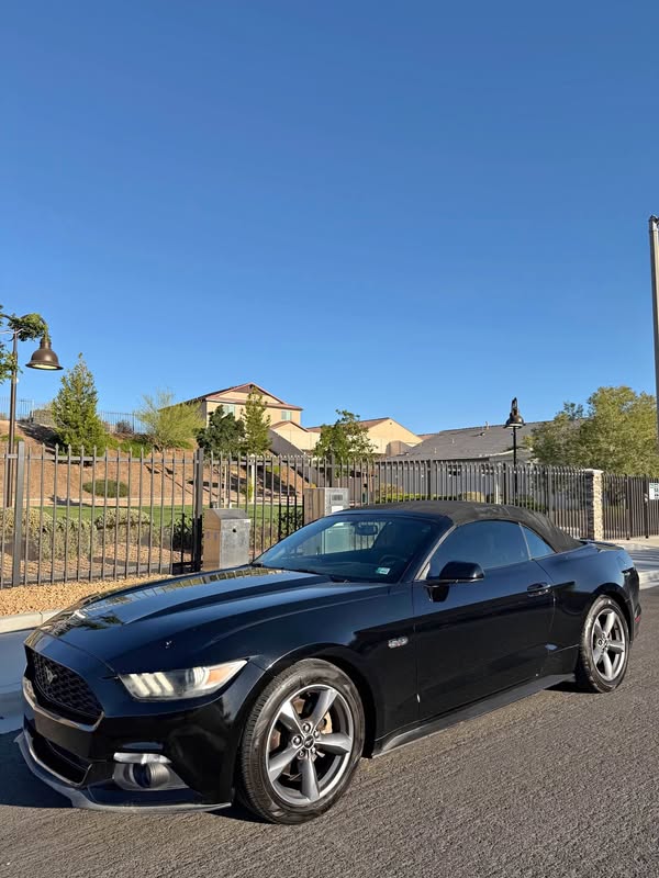 2015 Ford Mustang - Deluxe Convertible 2D